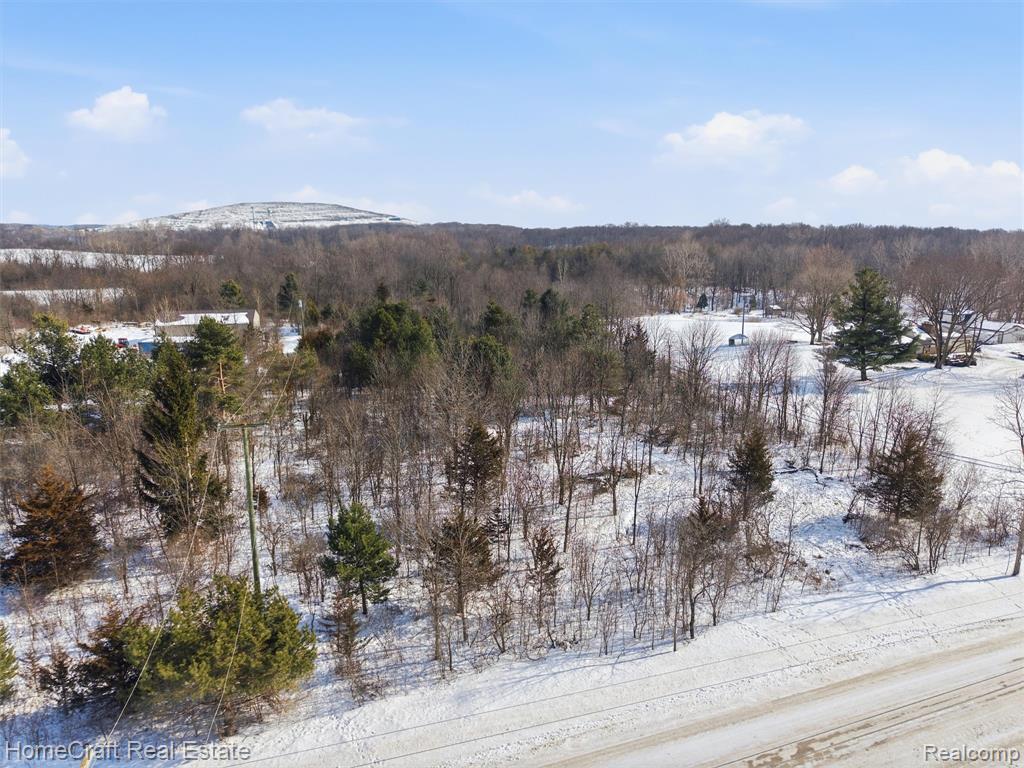 7730 Currie Road, Northville, MI 48167 — Photo 12