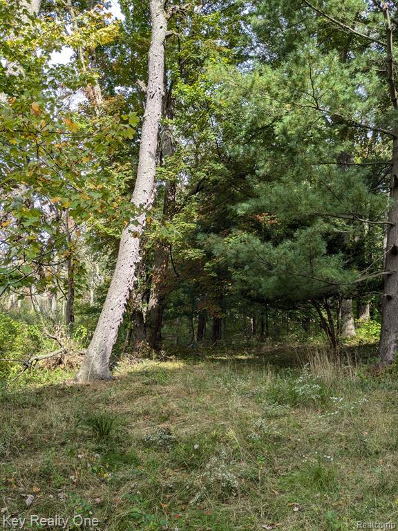 150 PORTER Lane, Leonard, MI 48367 — Photo 74