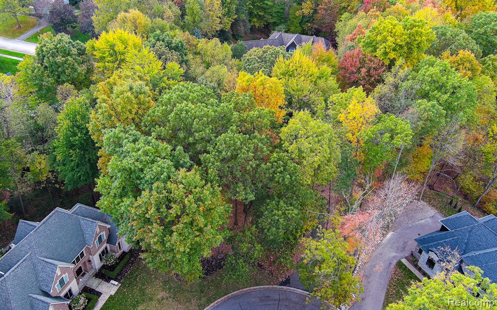 9933 Kingston Ridge, Clarkston, MI 48348 — Photo 9