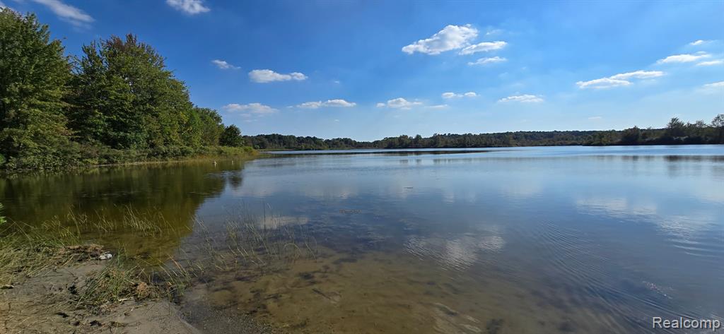 18575 Williamsville Road, Gregory, MI 48137 — Photo 23