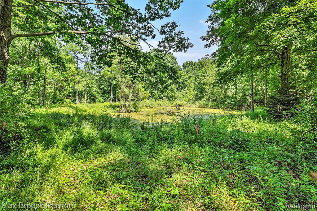 7132 N Oak Road, Davison, MI 48423 — Photo 4