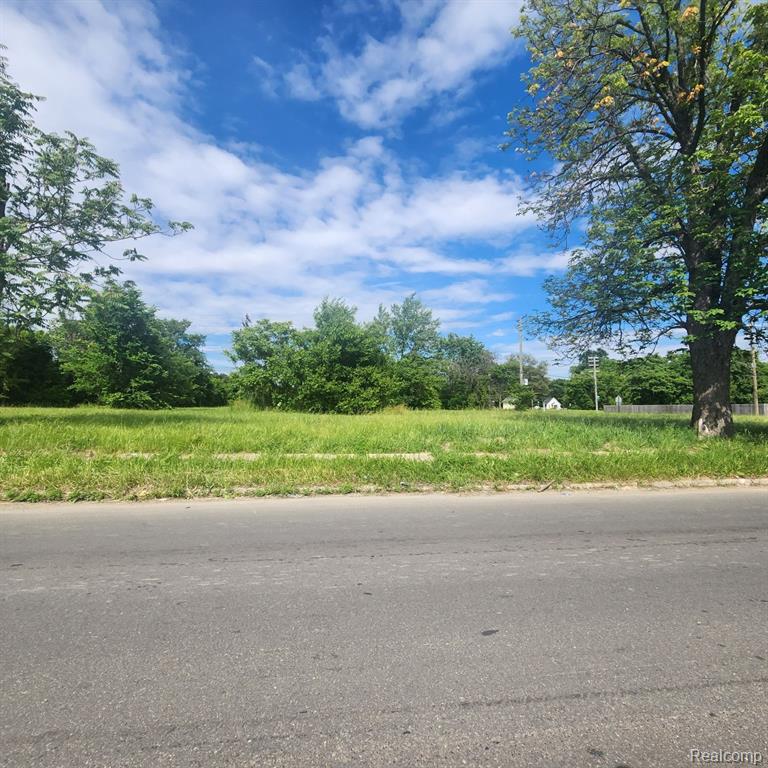 4400 JUNCTION Street, Detroit, MI 48210 — Photo 3