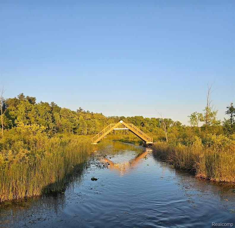 3700 Sylvester Drive, Dryden, MI 48428 — Photo 34