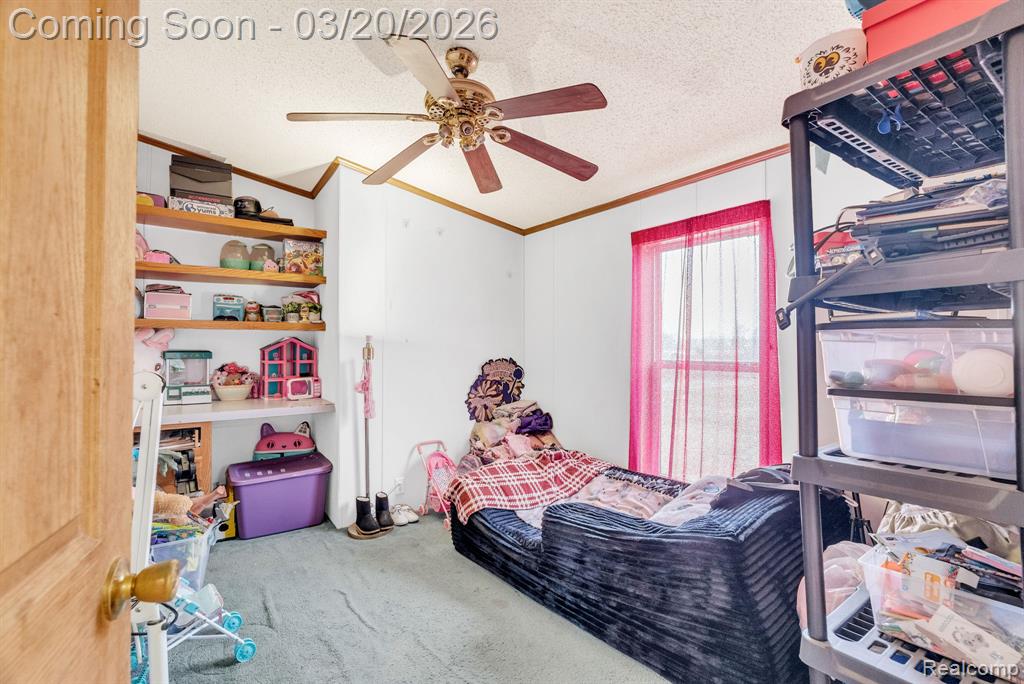 7151 Martin Road, Imlay City, MI 48444 — Photo 23