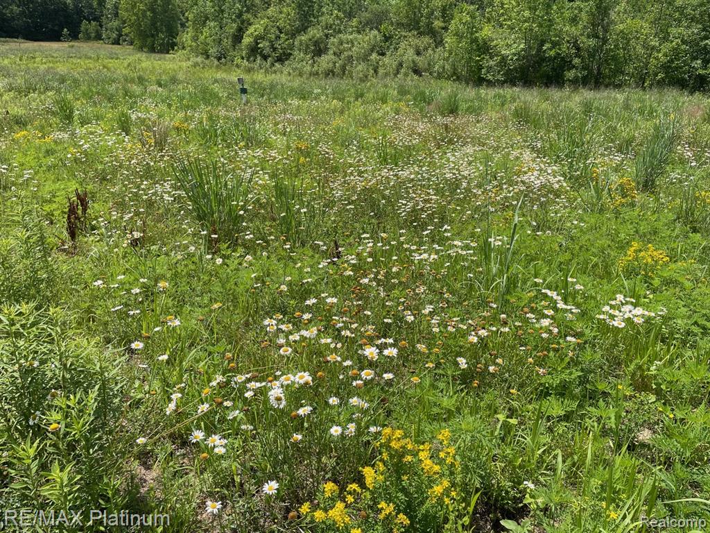 5245 FLEMING ROAD, Fowlerville, MI 48836 — Photo 49