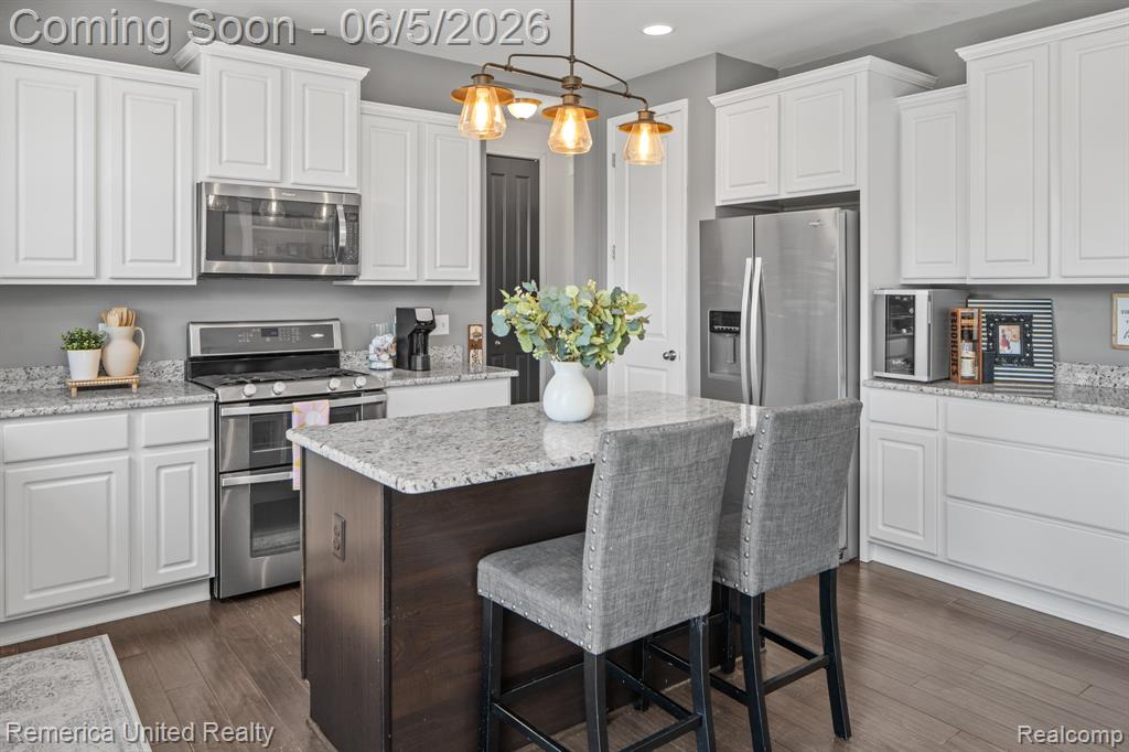 28519 Cottage Lane, New Hudson, MI 48165 — Photo 17