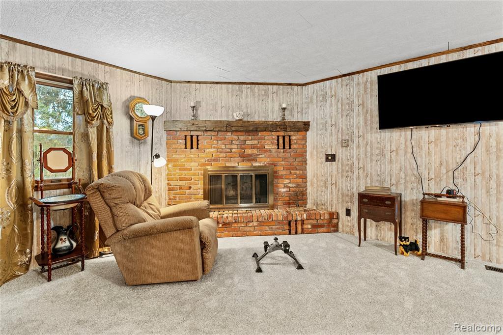 229 W Maple Street, Elsie, MI 48831 — Photo 13