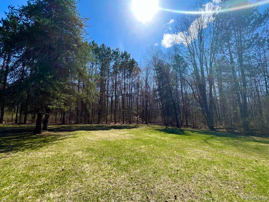 3421 Pine Drive, Caro, MI 48723 — Photo 21