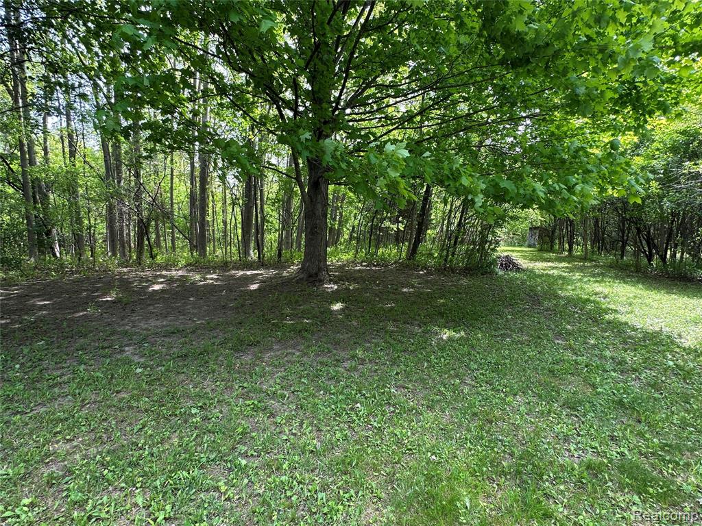 6161 River Road, Flushing, MI 48433 — Photo 25