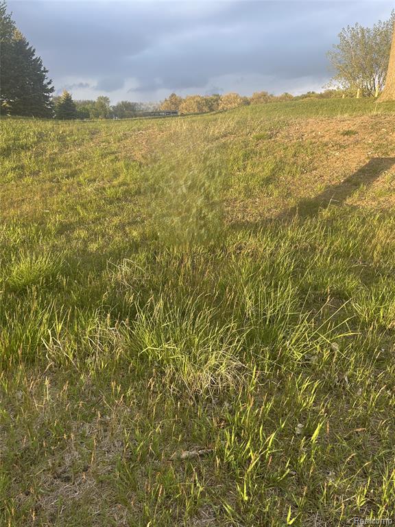 9899 Sunset Boulevard, Pigeon Vlg, MI — Photo 5