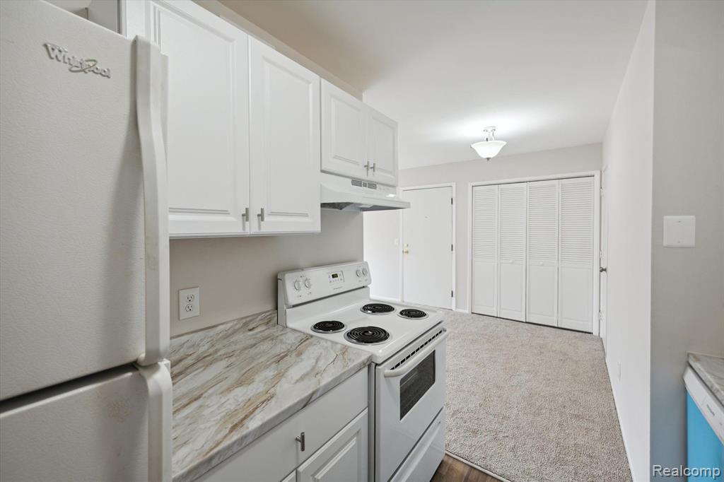 8719 Meadowbrook Drive, #5, Brighton, MI 48116 — Photo 23