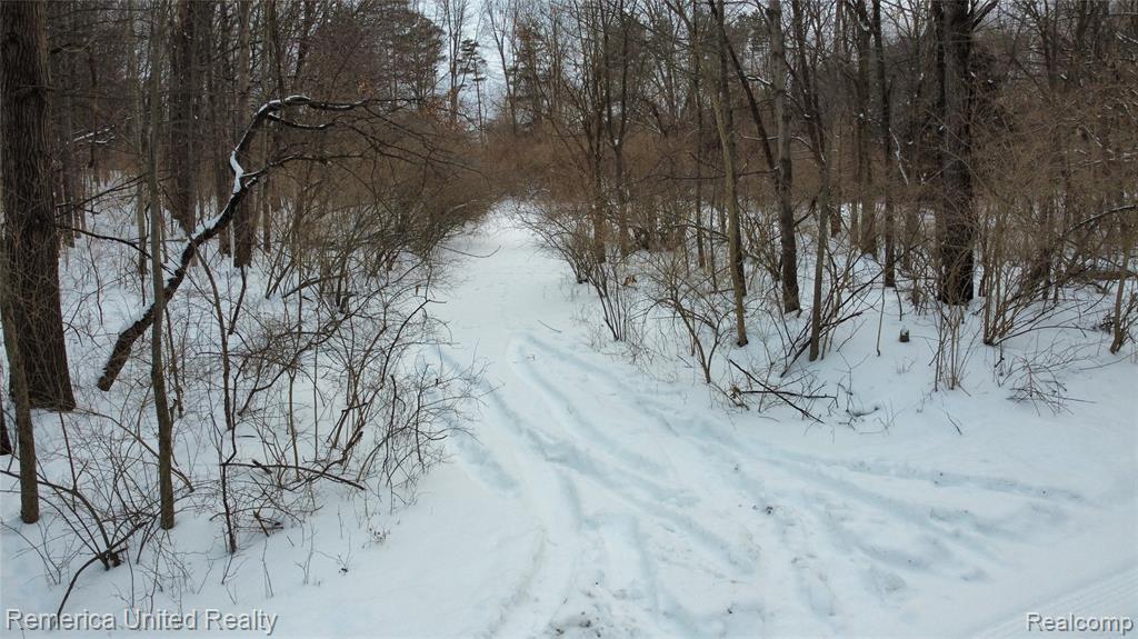 4297 Dinser Lane, Whitmore Lake, MI 48189 — Photo 2