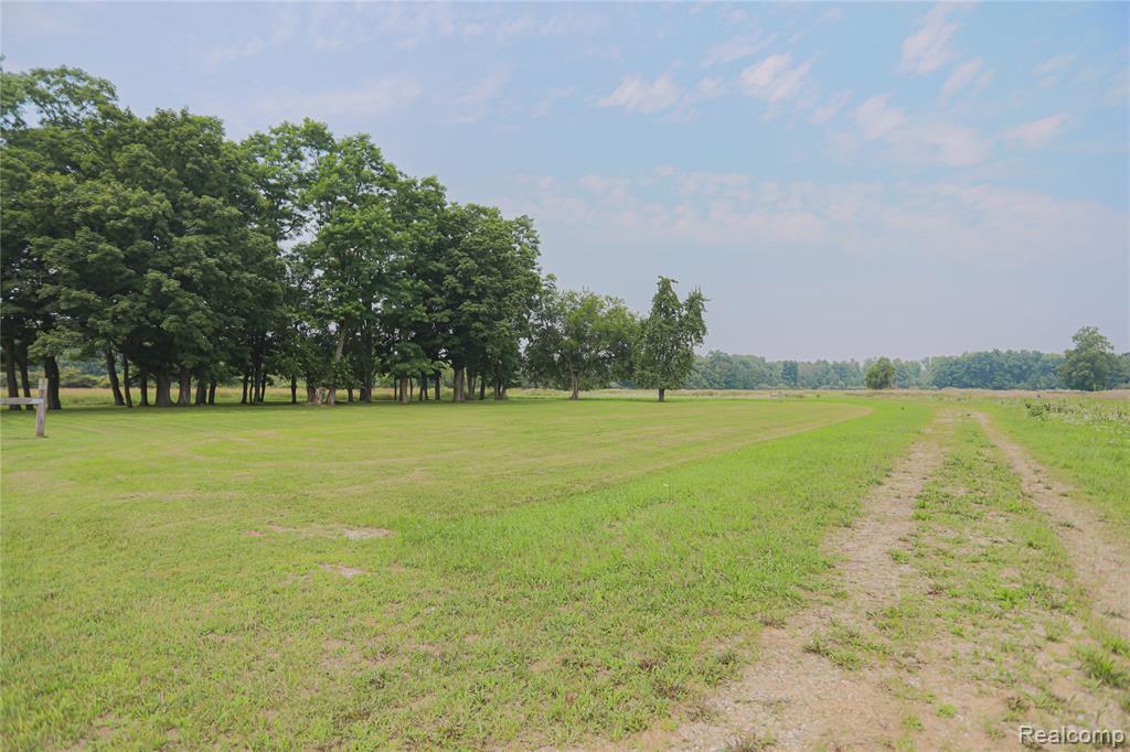 7284 Beard Road, Clyde, MI 48049 — Photo 23