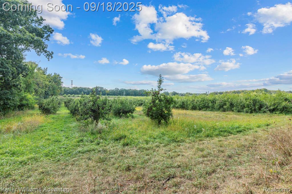 4921 Whitlow Court, Commerce Twp, MI 48382 — Photo 33