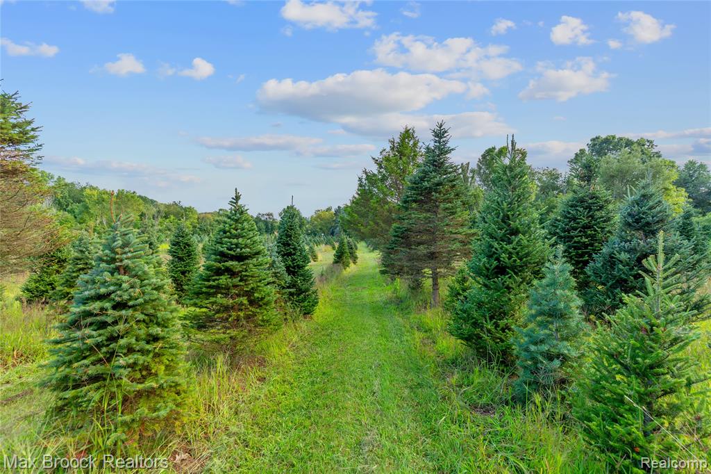 4700 Stanley Road, Columbiaville, MI 48421 — Photo 79