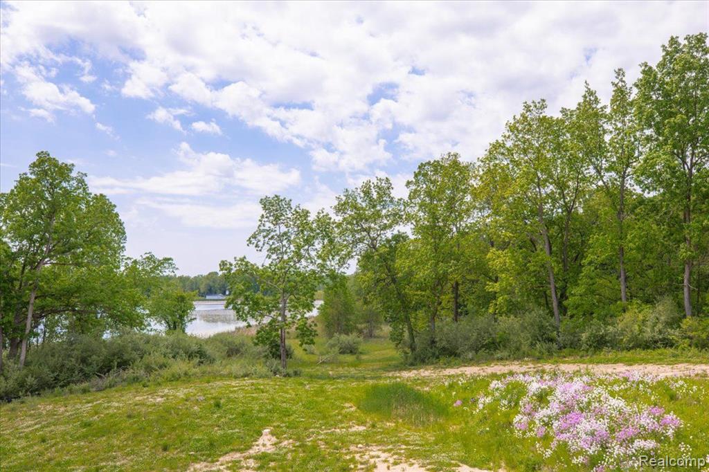 715 ORCHARD RIDGE Court, Ortonville, MI 48462 — Photo 9