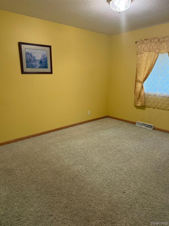 4338 Mertz Road, Mayville Vlg, MI 48744 — Photo 8