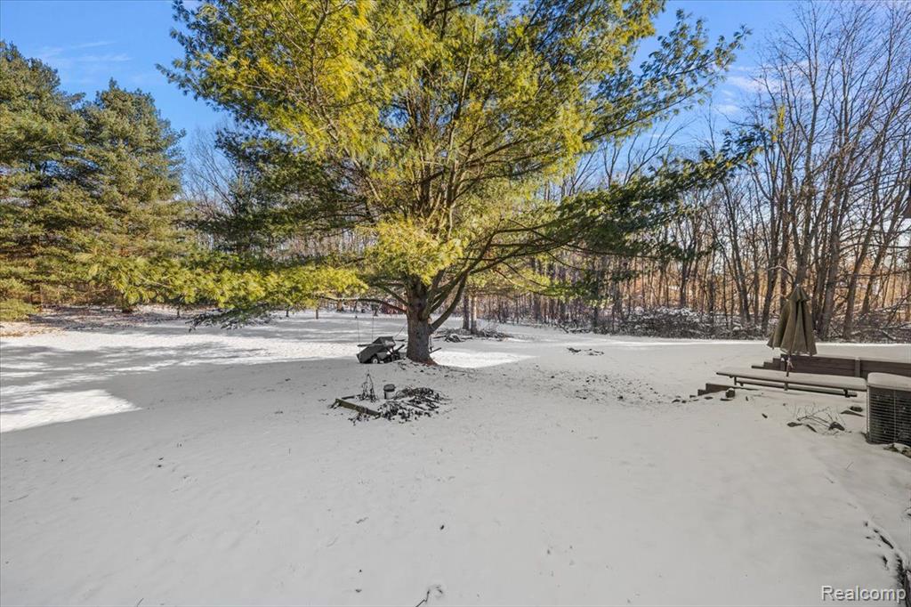 3645 E DRYDEN Road, Metamora, MI 48455 — Photo 44