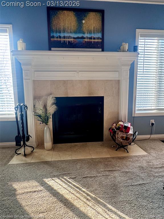6060 INTRINSIC Lane, Imlay City, MI 48444 — Photo 7