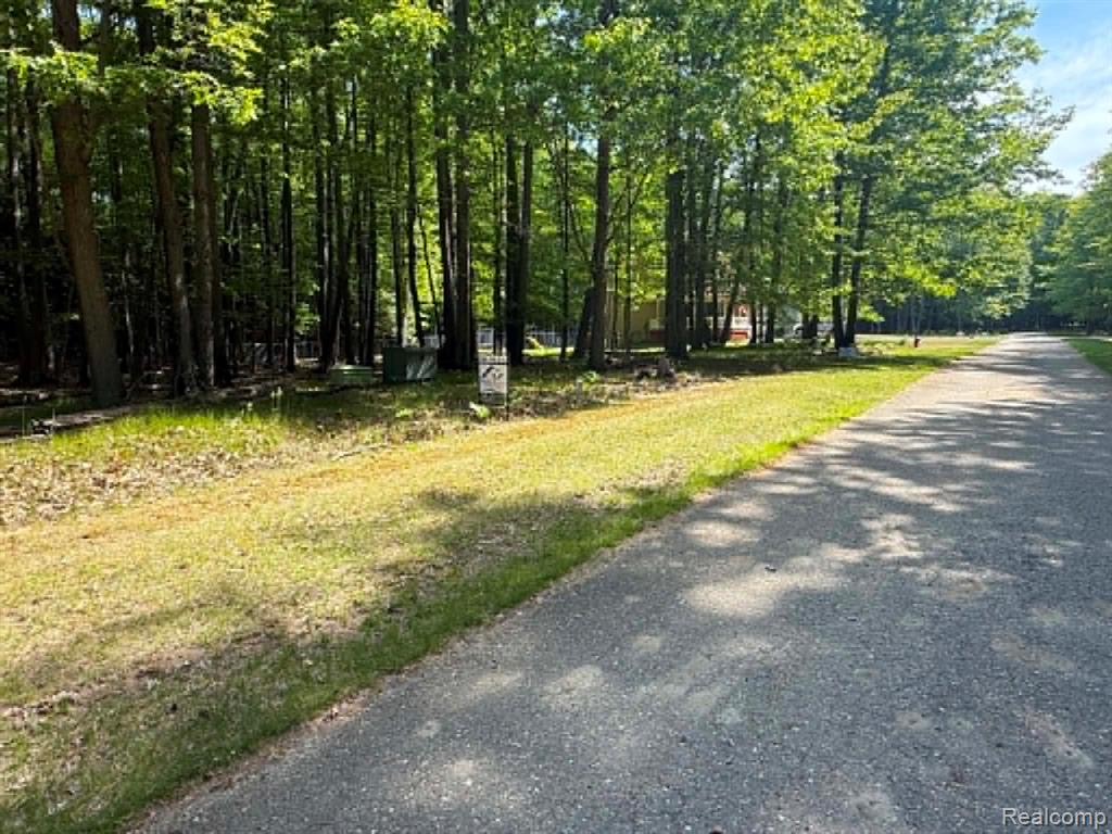 Lot 14 Towering Oaks Drive, Port Austin, MI — Photo 5