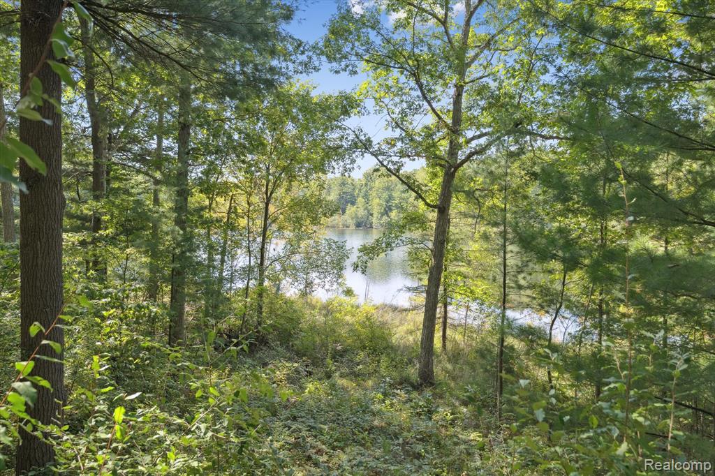 267 W Barnes Lake Road, Columbiaville, MI 48421 — Photo 32