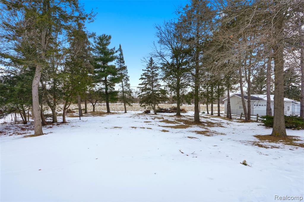 9875 W M 21, Ovid, MI 48866 — Photo 28