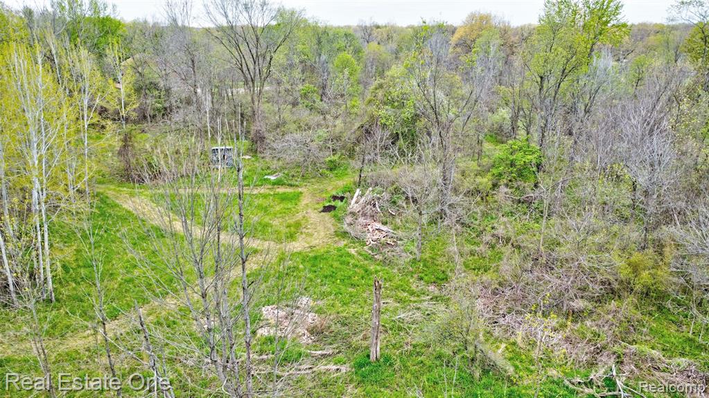 3960 Baldwin Road N, Ortonville, MI 48462 — Photo 47