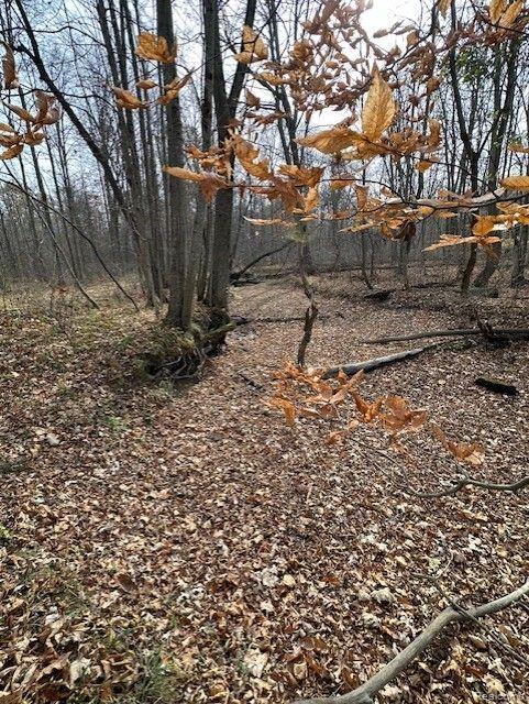 8438 JORDAN Road, Grand Blanc, MI 48439 — Photo 16