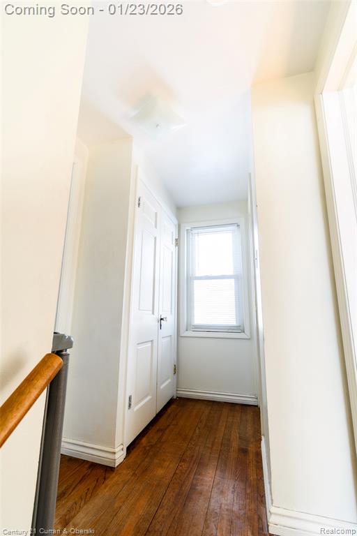 862 Moran Avenue, Lincoln Park, MI 48146 — Photo 21
