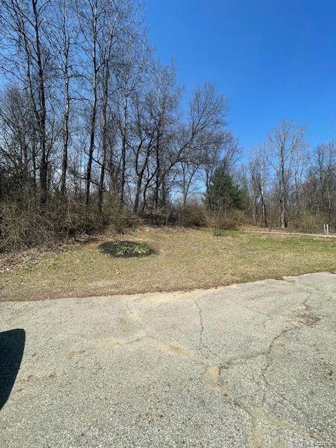 17985 WATERLOO Road, Chelsea, MI 48118 — Photo 3