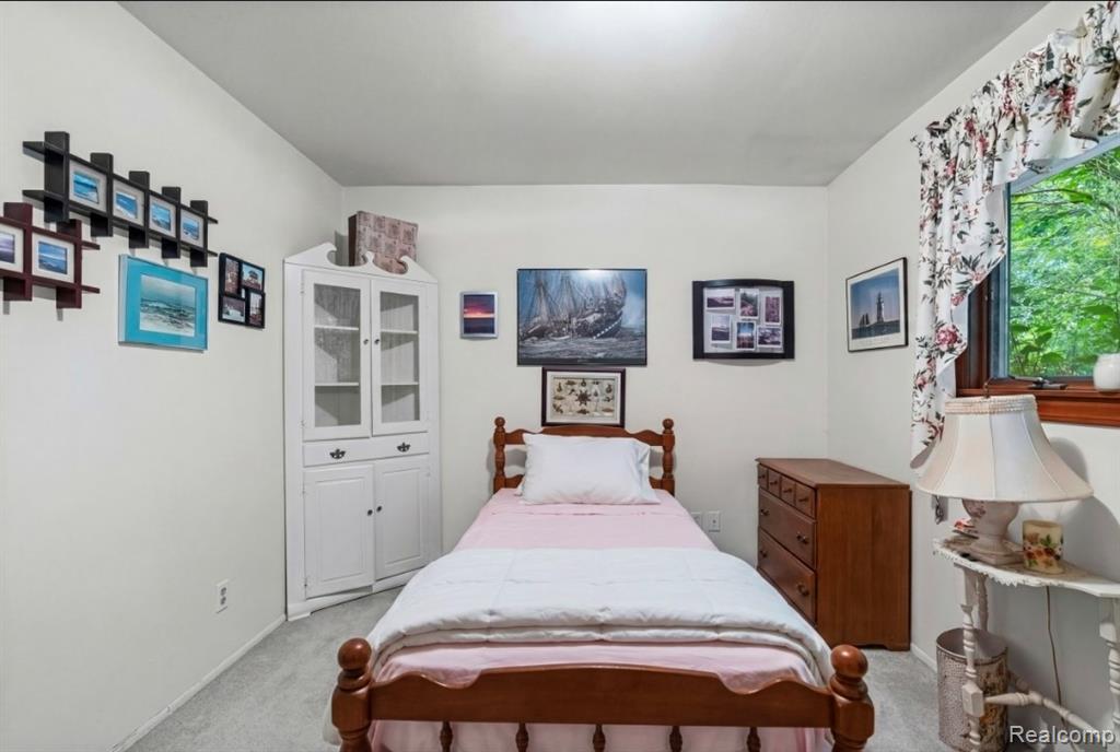439 Windmill Point Drive, Flushing, MI 48433 — Photo 18