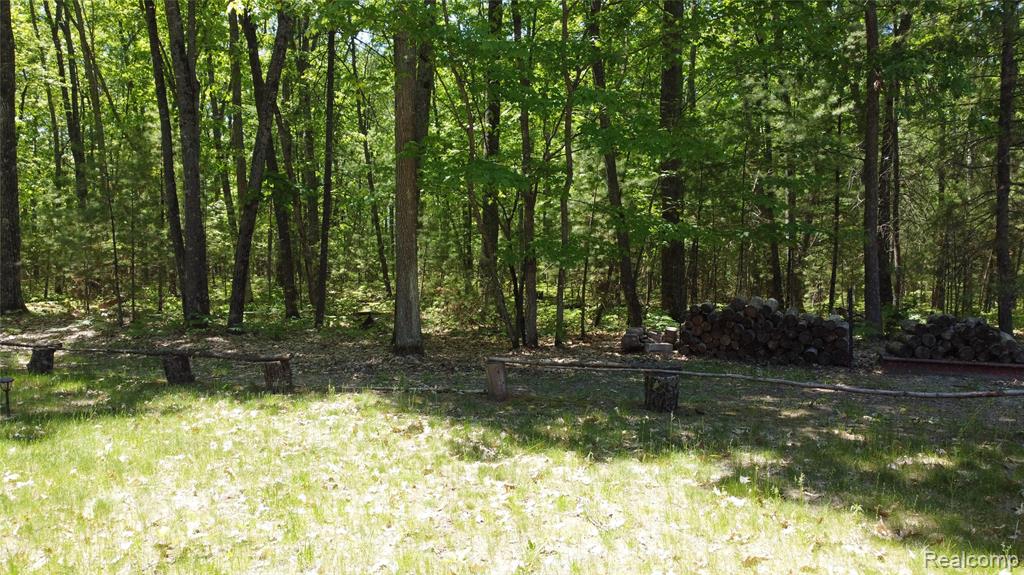 416 Crystal Lane, Roscommon, MI 48653 — Photo 6