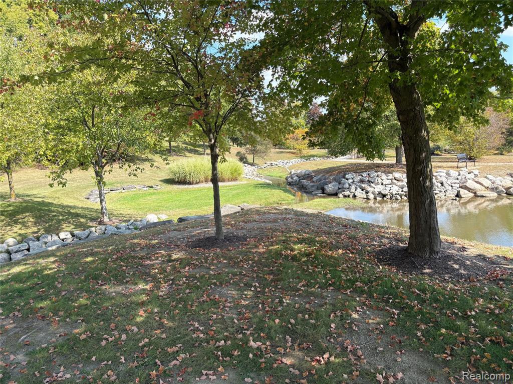 18018 RIDGEVIEW Drive, Northville, MI — Photo 15