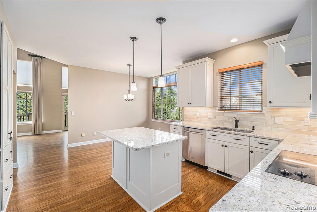 5245 MORET Court, Brighton, MI 48116 — Photo 9