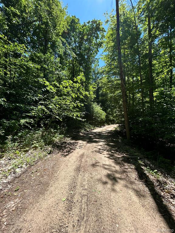 VL Smith Lake Road, Mancelona, MI 49659 — Photo 6