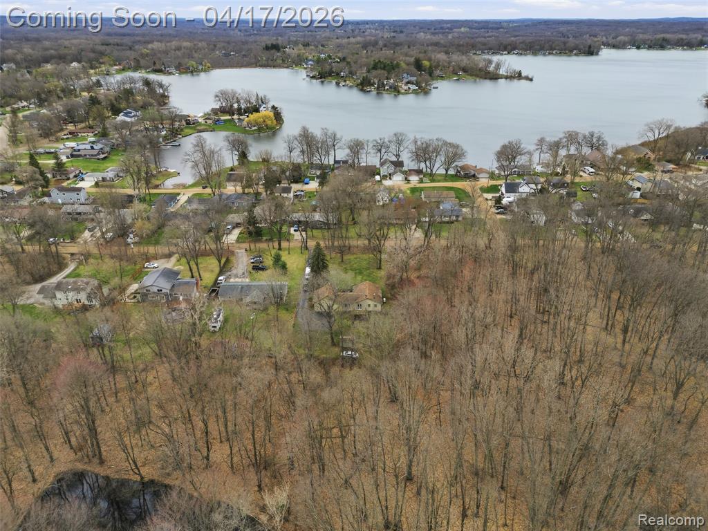 11430 Big Lake Road, Davisburg, MI 48350 — Photo 8