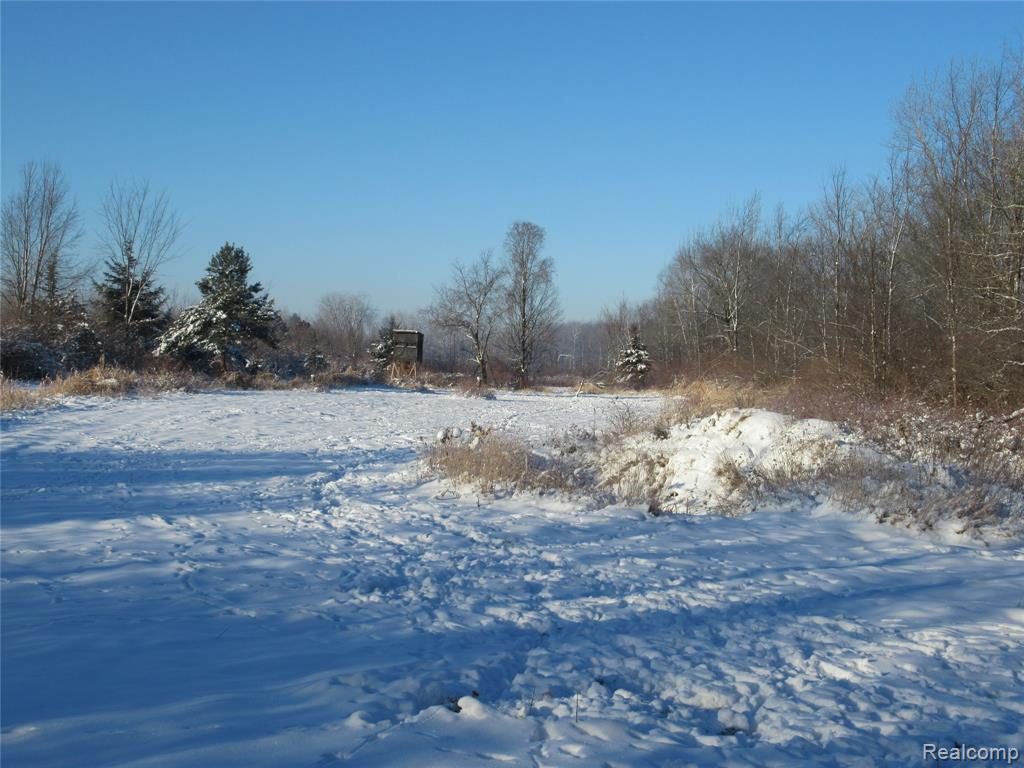 VACANT LAND S. PLAIN Road, Caro, MI 48723 — Photo 7
