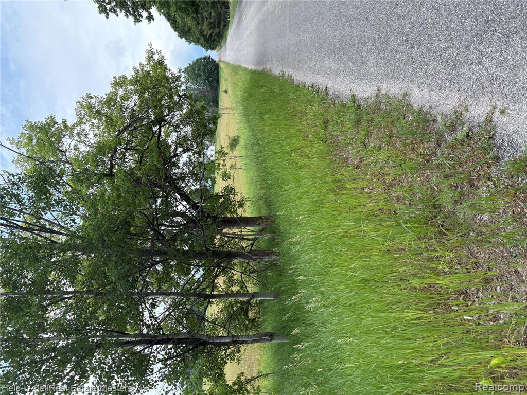 9999 W. Hubert rd Road, Hubbard Lake, MI 49747 — Photo 9