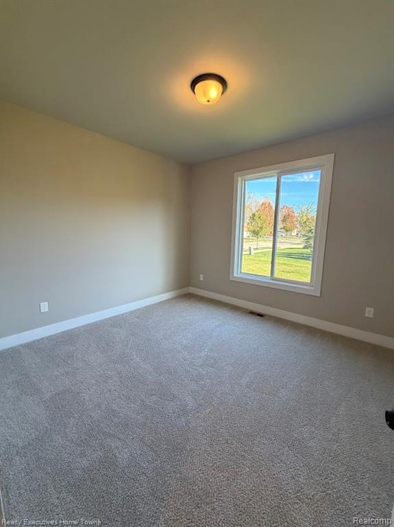 67850 MADELINE Street, Richmond, MI 48062 — Photo 19