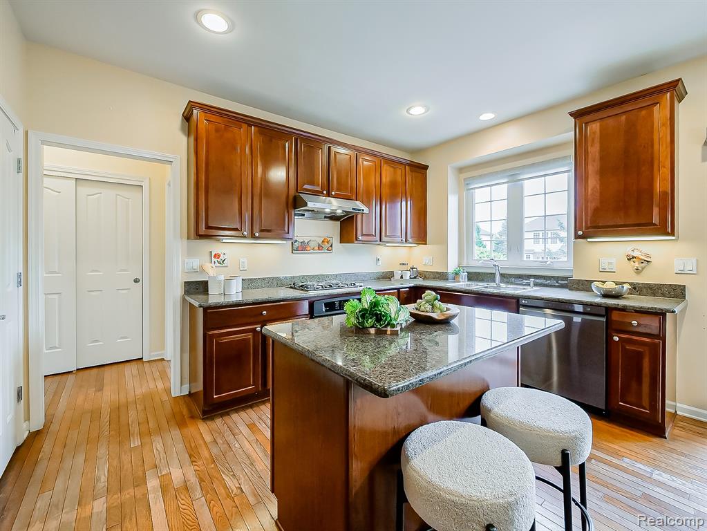 49133 Running Trout Lane, Northville, MI 48168 — Photo 19