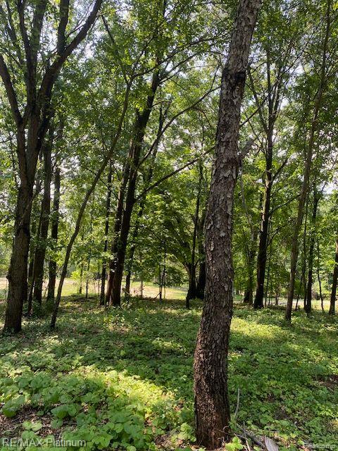 4 Sleaford-Parcel 4 - 32.92 Acres Road, Howell, MI 48843 — Photo 23