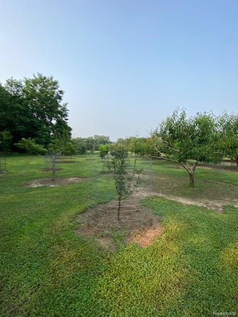 7762 Mason Road, Yale, MI 48097 — Photo 13