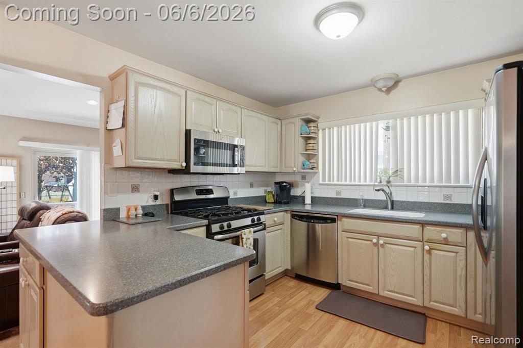 42321 Royal Lane, Clinton Twp, MI 48038 — Photo 9