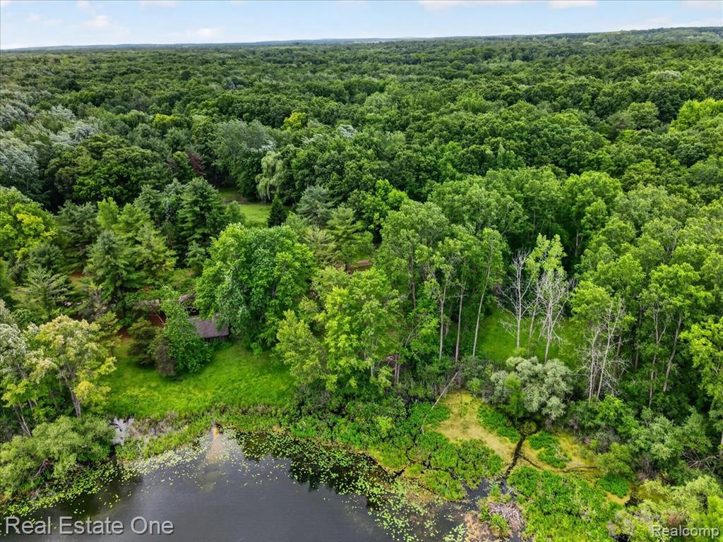 425 Courtney Road, Leonard, MI 48367 — Photo 78
