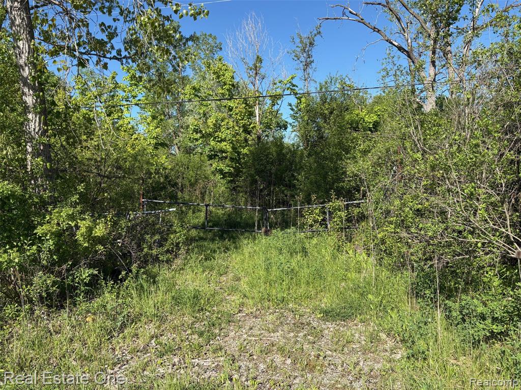 2983 N Harris Road, Ypsilanti, MI 48198 — Photo 11