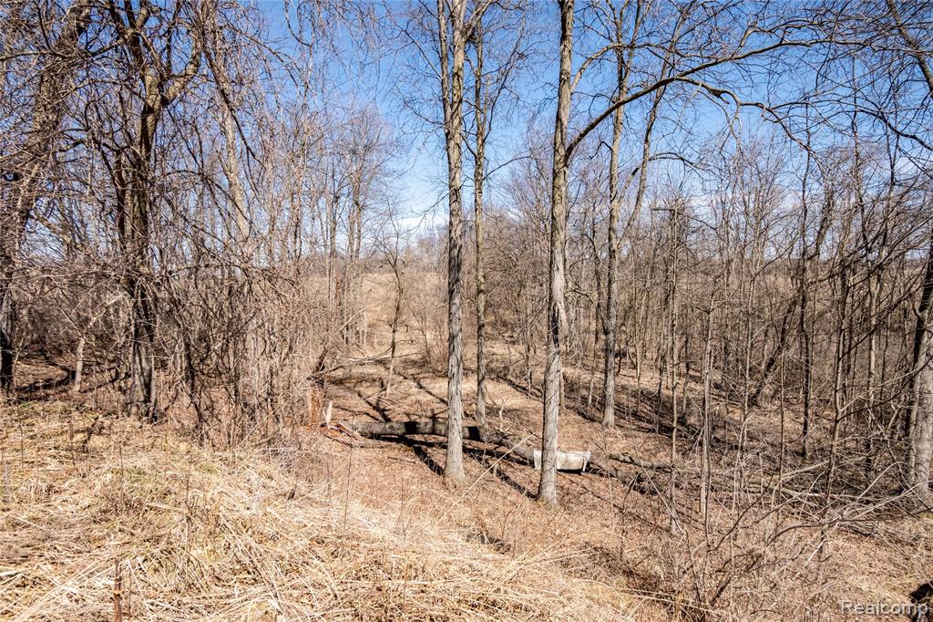 4949 W Beard Road, Perry, MI 48872 — Photo 7