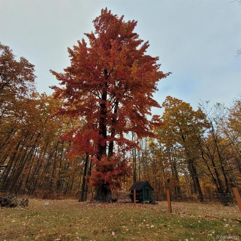 2172 N US 23, Harrisville, MI 48740 — Photo 36