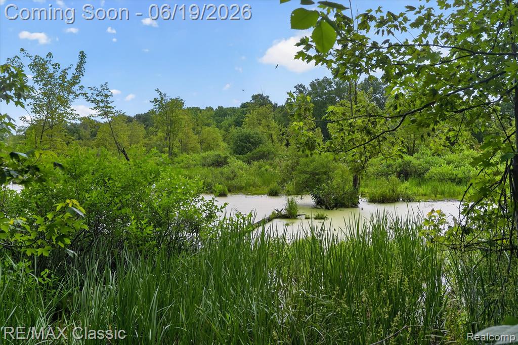 12189 Gage Road, Holly, MI 48442 — Photo 58