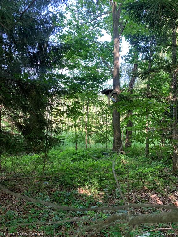 8655 Buckland Drive, South Lyon, MI 48178 — Photo 4