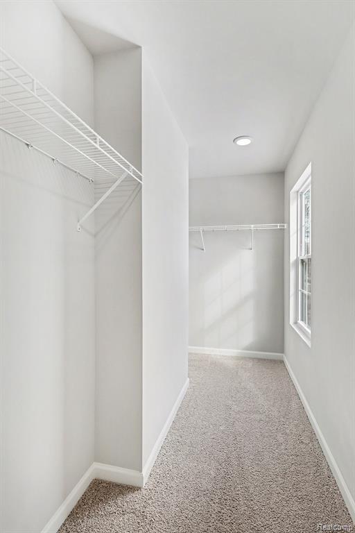 150 Woodland Way, Manchester, MI 48158 — Photo 21